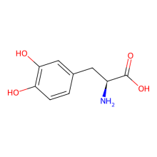 3,4-Dihydroxy-L-phenylalanine