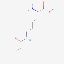 Nε-Butyryl-L-lysine
