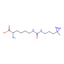 (3-(3-Methyl-3H diazirine-3-yl)-propaminocarbonyl- Nε-L-lysine