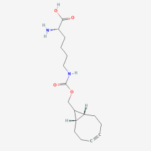 exo-BCN-L-Lysine